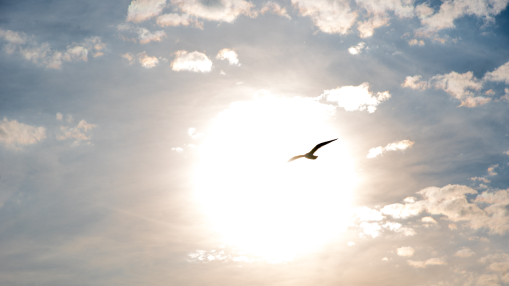 Spirituality Overrated